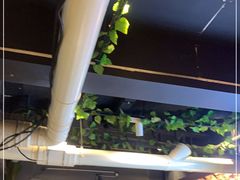 -金陵大勇烧烤·小龙虾·海鲜大咖(竹山路店)