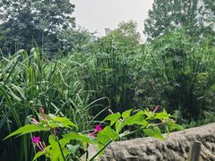 -成都市活水公园
