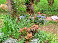 -人民公园(罗湖区)