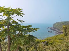 -涠洲岛火山国家地质公园
