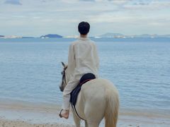 -玫瑰海岸文化旅游度假区