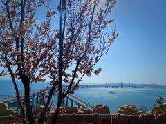 -星海湾跨海大桥