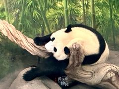 -武汉动物园