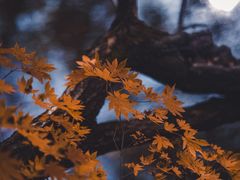 -本溪老边沟风景区
