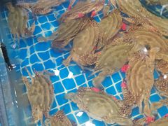 -抹直口特色菜馆(一店)