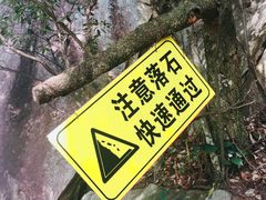 -罗田天堂寨风景区