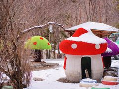 -叠溪松坪沟景区