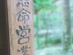 -凤栖山