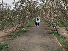 -长廊欢乐园