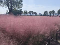 -汉长安城未央宫国家考古遗址公园