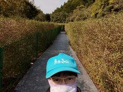 -大屏嶂森林公园