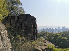 -金鸡山公园