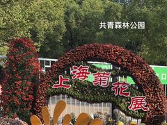 -上海共青森林公园