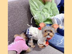 -素心小筑(后沙裕镇店)