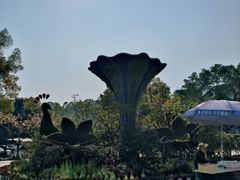 -南山植物园
