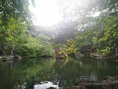 -海口火山口国家地质公园