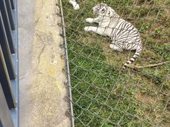 -石家庄市动物园