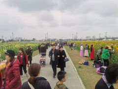 -中国天府农业博览园