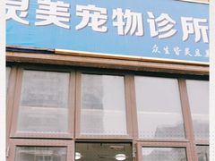 -灵美宠物诊所