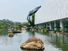 -罗红摄影艺术馆