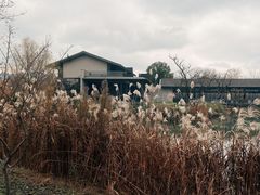 -木守西溪溪隐餐厅