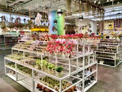 -KKV(深圳宏发大仟里店)