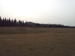 -秦始皇帝陵博物院-丽山园