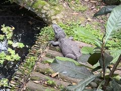 -杭州野生动物世界