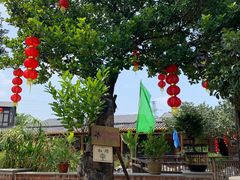 -大门水乡·顺德菜