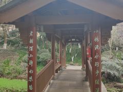 -西湖风景区-江洋畈生态公园