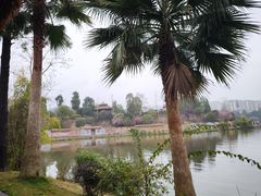 -枫香湖儿童公园