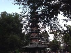 -上海佘山国家森林公园西佘山园