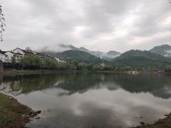 -后柳水乡