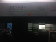 -浦东1号2号航站楼(地铁站)