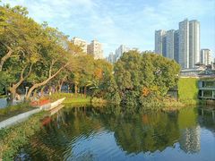 -荔湾湖公园