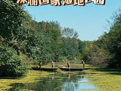 -溱湖国家湿地公园
