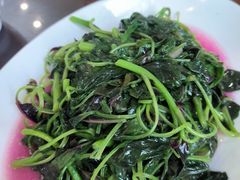 炒苋菜-茶港食堂(武昌店)