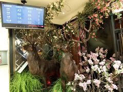 -新白鹿餐厅(悠迈生活广场店)