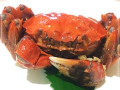 -苏小柳点心·手作小笼包(浦东嘉里城分院)