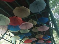 -陶祖圣境风景区