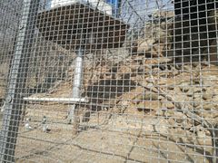 -北镇龙岗子生态园