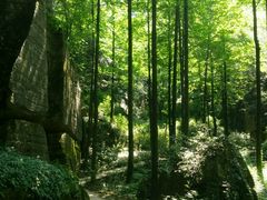 -梦幻奥陶纪景区