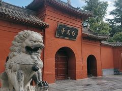 -洛阳白马寺