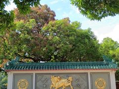 -广东圆玄道观
