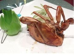 -鲍国演义(禅城店)