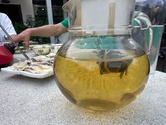 -墨脱石锅椰子鸡•香草鸭•东山羊(大东海店)