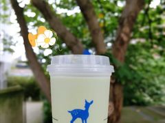 抹茶拿铁-瑞幸咖啡（浙江树人大学店(校外勿点)