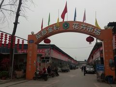 -金科花卉市场