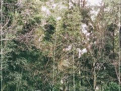 -成都杜甫草堂博物馆