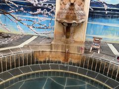 -观唐（国际）度假村温泉